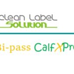 Bi-pass CalfXPro